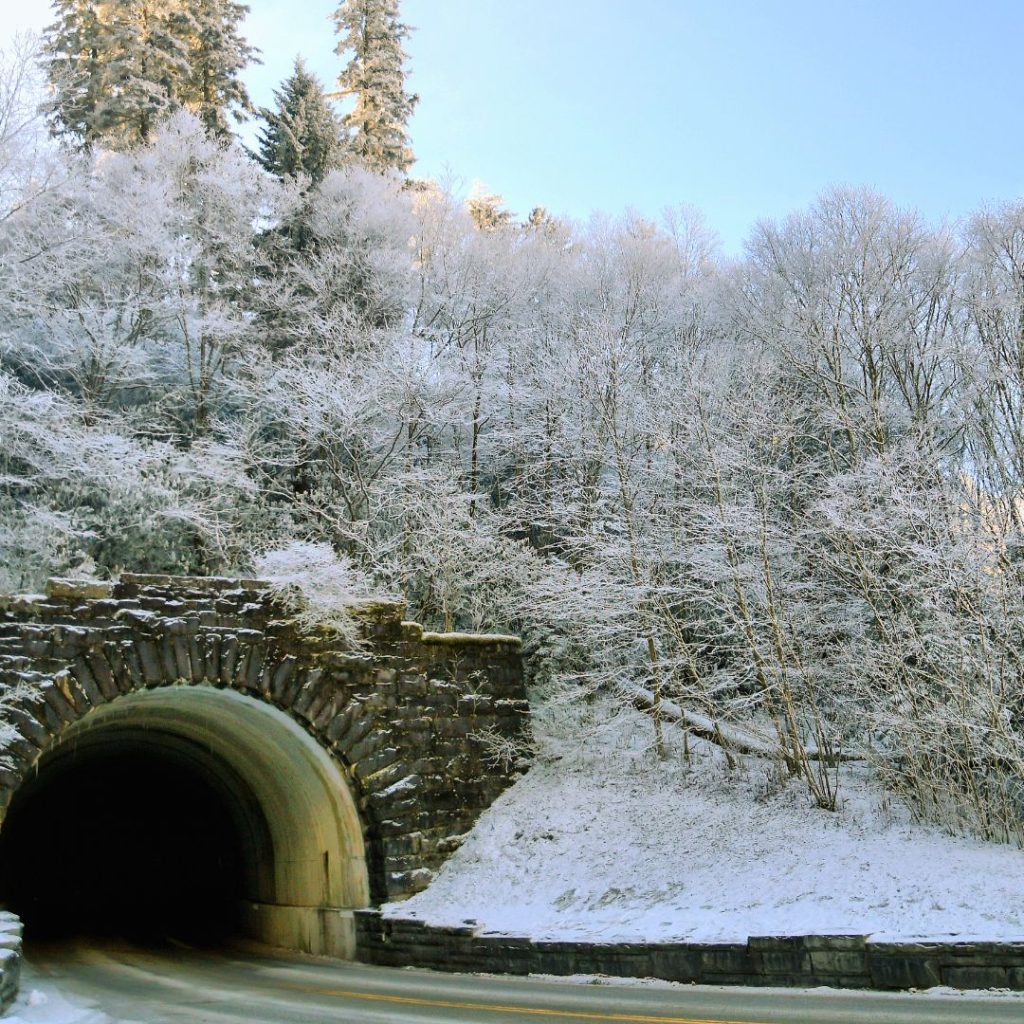 winter great smoky mountains